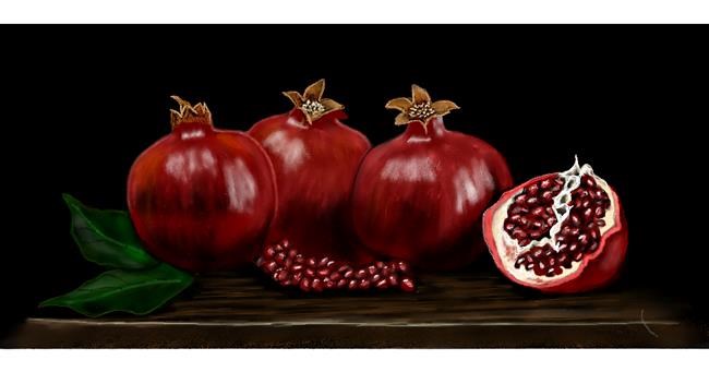 Drawing of Pomegranate by Chaching