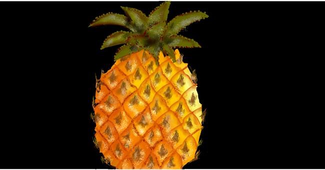 Ananas - autor: Eclat de Lune