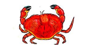 Drawing of Crab by lenny