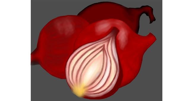 Zwiebel-Zeichnung von Erinem