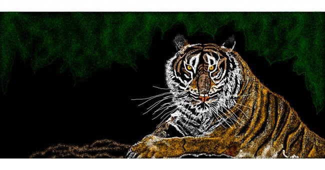 Tigar - autor: Chaching