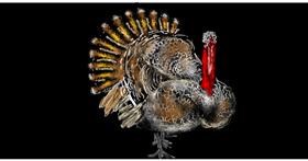 Drawing of Turkey by Eclat de Lune