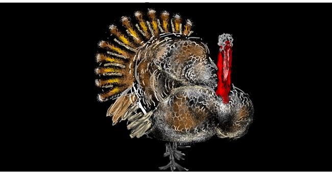 Drawing of Turkey by Eclat de Lune