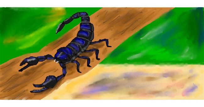 Drawing of Scorpion by Magic Mushroom