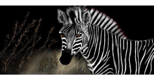 Drawing of Zebra by Chaching