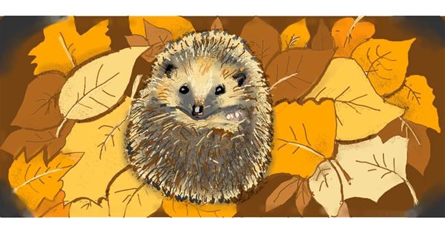 Drawing of Hedgehog by Mar