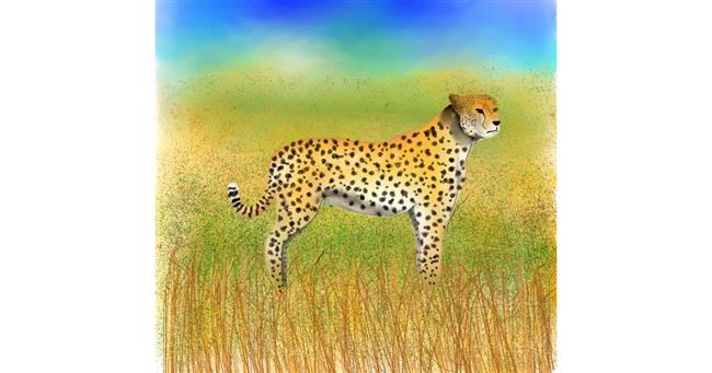 Drawing of Cheetah by 🇭🇰 Acemca Lam