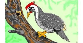 Drawing of Woodpecker by flowerpot