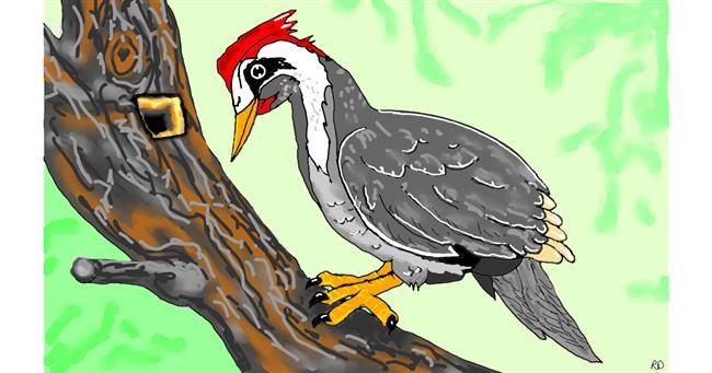 Drawing of Woodpecker by flowerpot