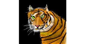 Tigar - autor: Rash