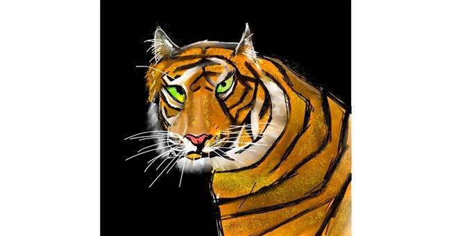 Tigar - autor: Rash