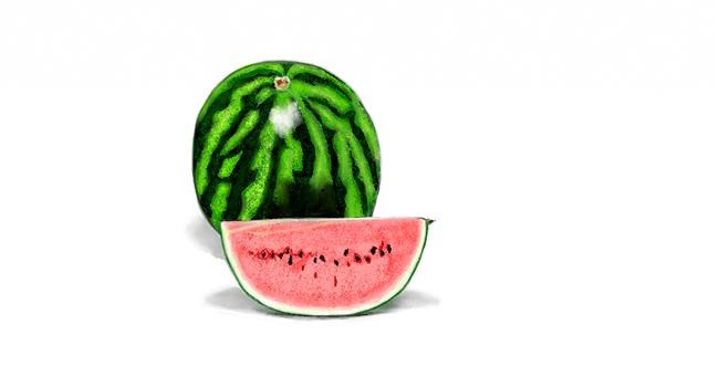 Drawing of Watermelon by Chaching