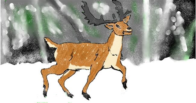 Drawing of Deer by Andy