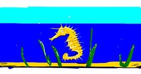 Drawing of Seahorse by han
