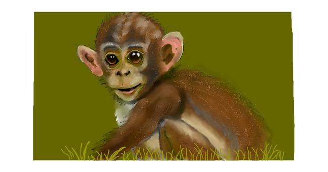 Drawing of Monkey by DebbyLee