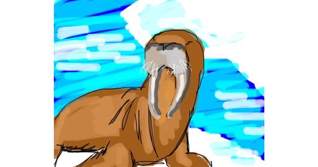 Drawing of Walrus by Mini