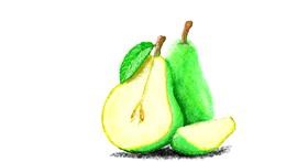 Drawing of Pear by Sam