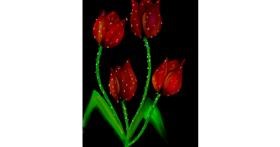 Drawing of Tulips by Lahari