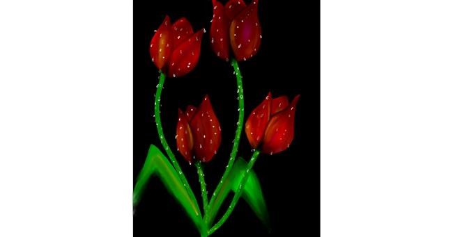 Drawing of Tulips by Lahari