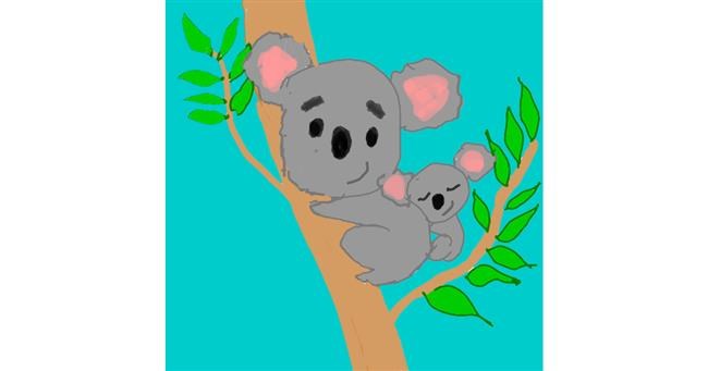 Koala-Zeichnung von MaRi