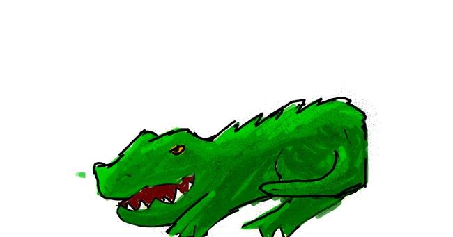 Aligator - autor: Data
