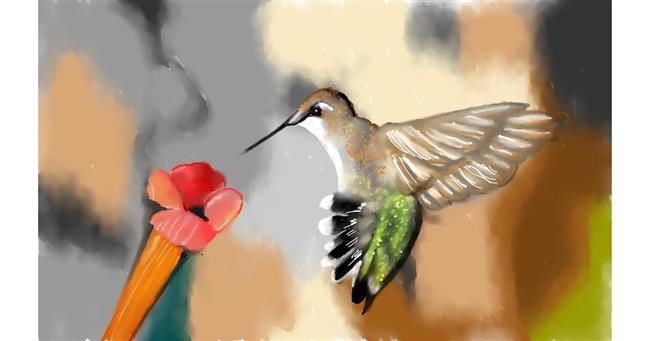 Drawing of Hummingbird by Tim