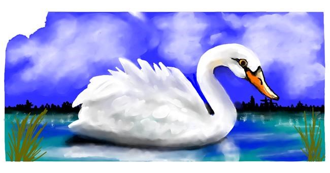 Drawing of Swan by justme❤️