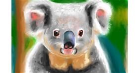 Koala-Zeichnung von Herbert