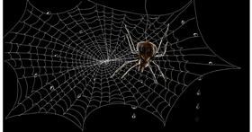 Drawing of Spider web by Eclat de Lune