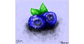 Drawing of Blueberry by Banana