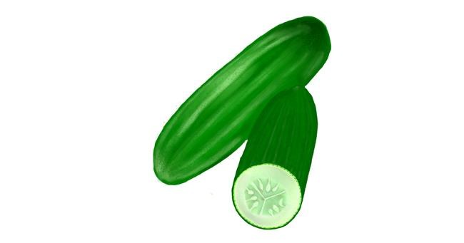 Drawing of Cucumber by MEL