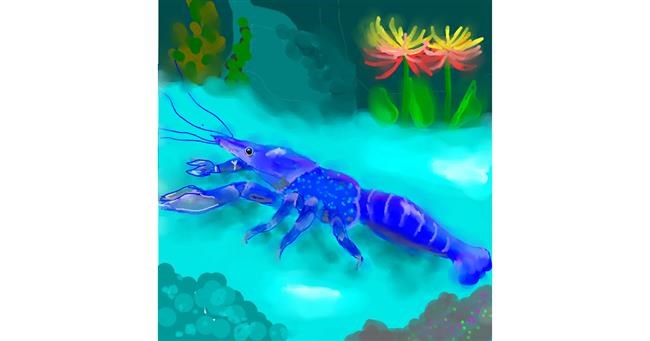 Drawing of Lobster by Not.Old.Train