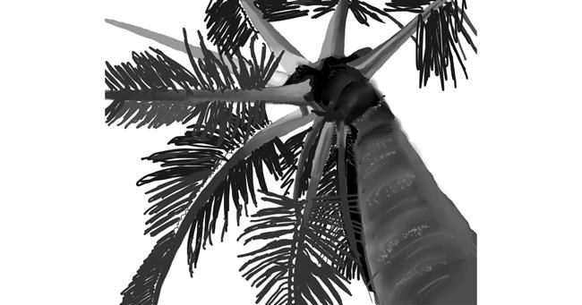 Drawing of Palm tree by ImagineBastille