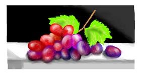 Drawing of Grapes by DebbyLee