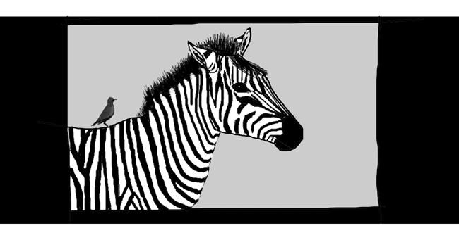 Drawing of Zebra by Pinky