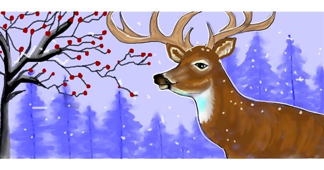 Drawing of Reindeer by Debidolittle