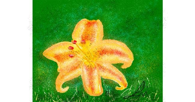 Ljiljan - autor: Nonuvyrbiznis 