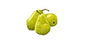 Drawing of Pear by Nugget