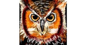 Drawing of Owl by Rose rocket