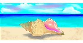 Drawing of Seashell by DebbyLee