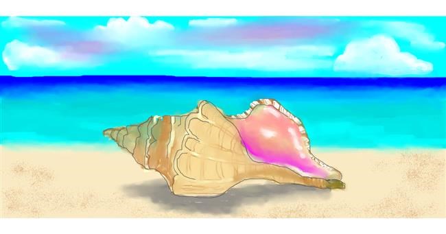 Školjka - autor: DebbyLee