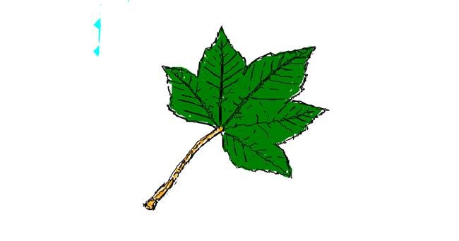 Drawing of Leaf by Drawn