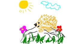 Drawing of Hedgehog by Joanna