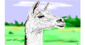 Drawing of Llama by flowerpot