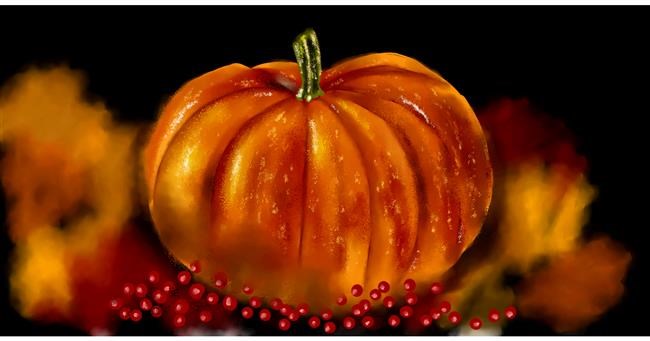 Drawing of Pumpkin by Eclat de Lune