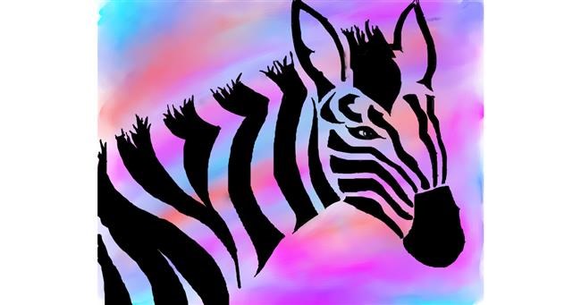 Zebra - autor: Freny