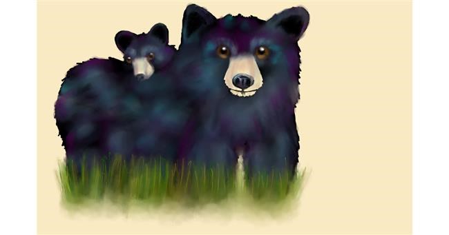 Medvjed - autor: Pickles