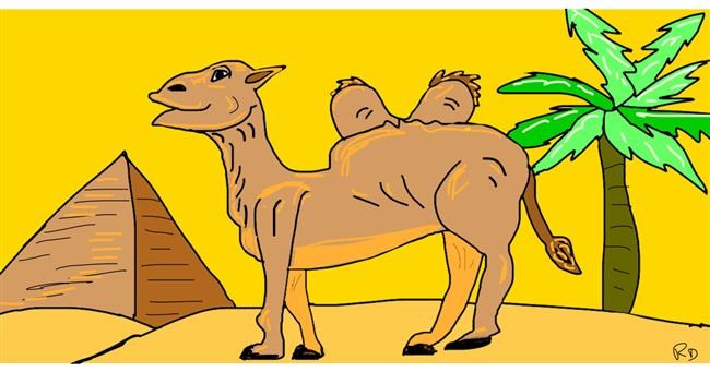 Drawing of Camel by Swimmer 