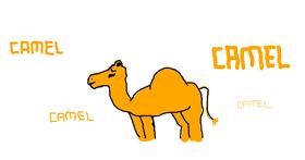 Drawing of Camel by bob