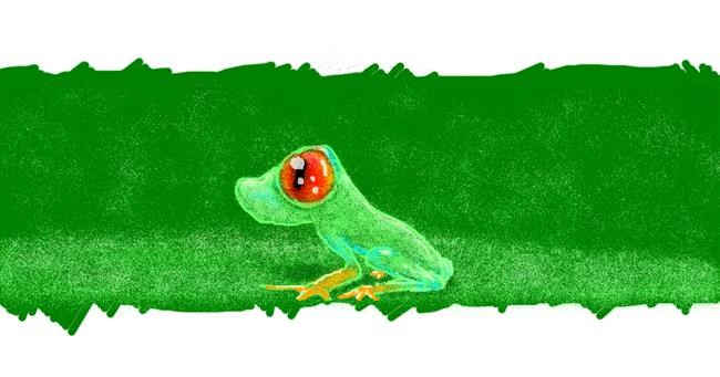 Drawing of Frog by 7y3e1l1l0o§